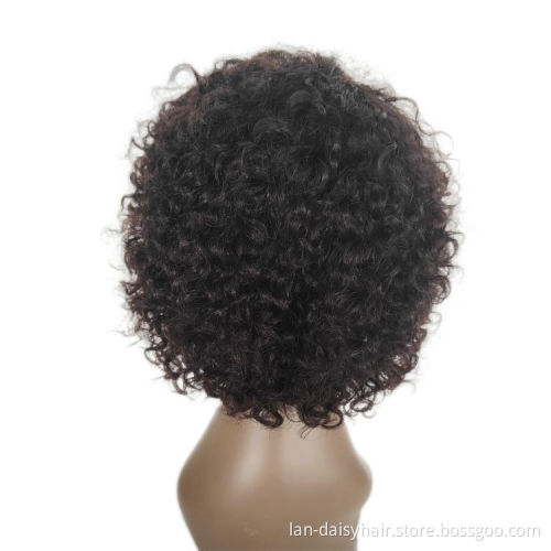 Pixie Cut Wig Short Curly  Cheap Human Hair Wig  13X1 Transparent Lace Wig For Women
